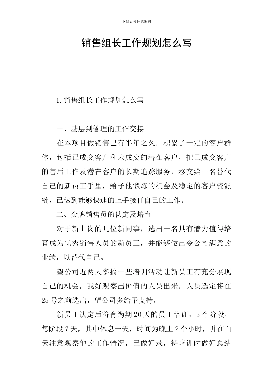 销售组长工作规划怎么写_第1页