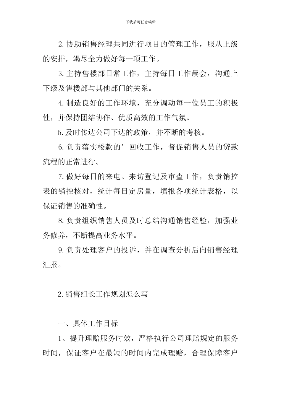 销售组长工作规划怎么写_第3页