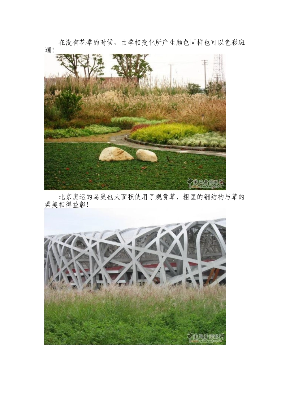 浅谈观赏草在景观中的运用(一)绿地篇_第2页