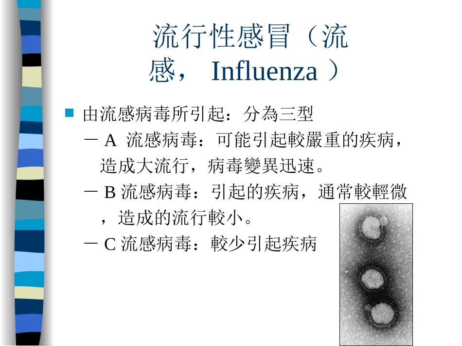 流感大流行因应措施新竹市卫生局_第2页
