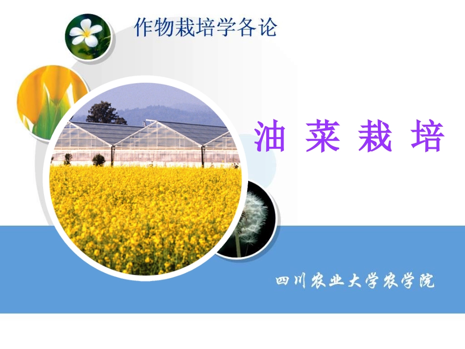 油菜栽培_(NXPowerLite)_第1页