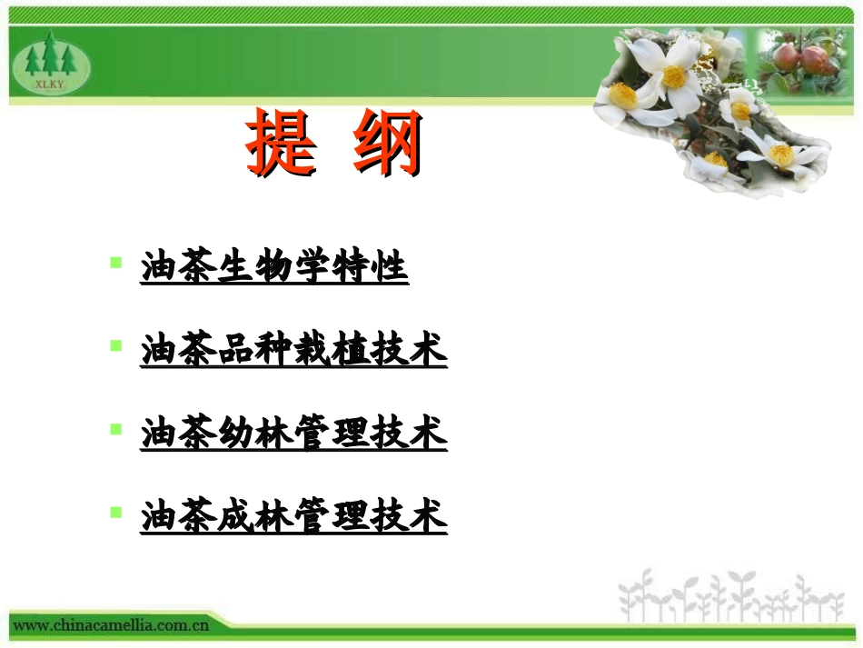 油茶种植与抚育管理技术_第2页