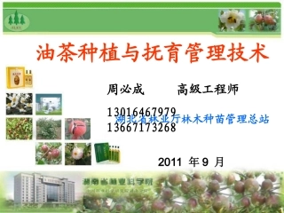 油茶种植与抚育管理技术