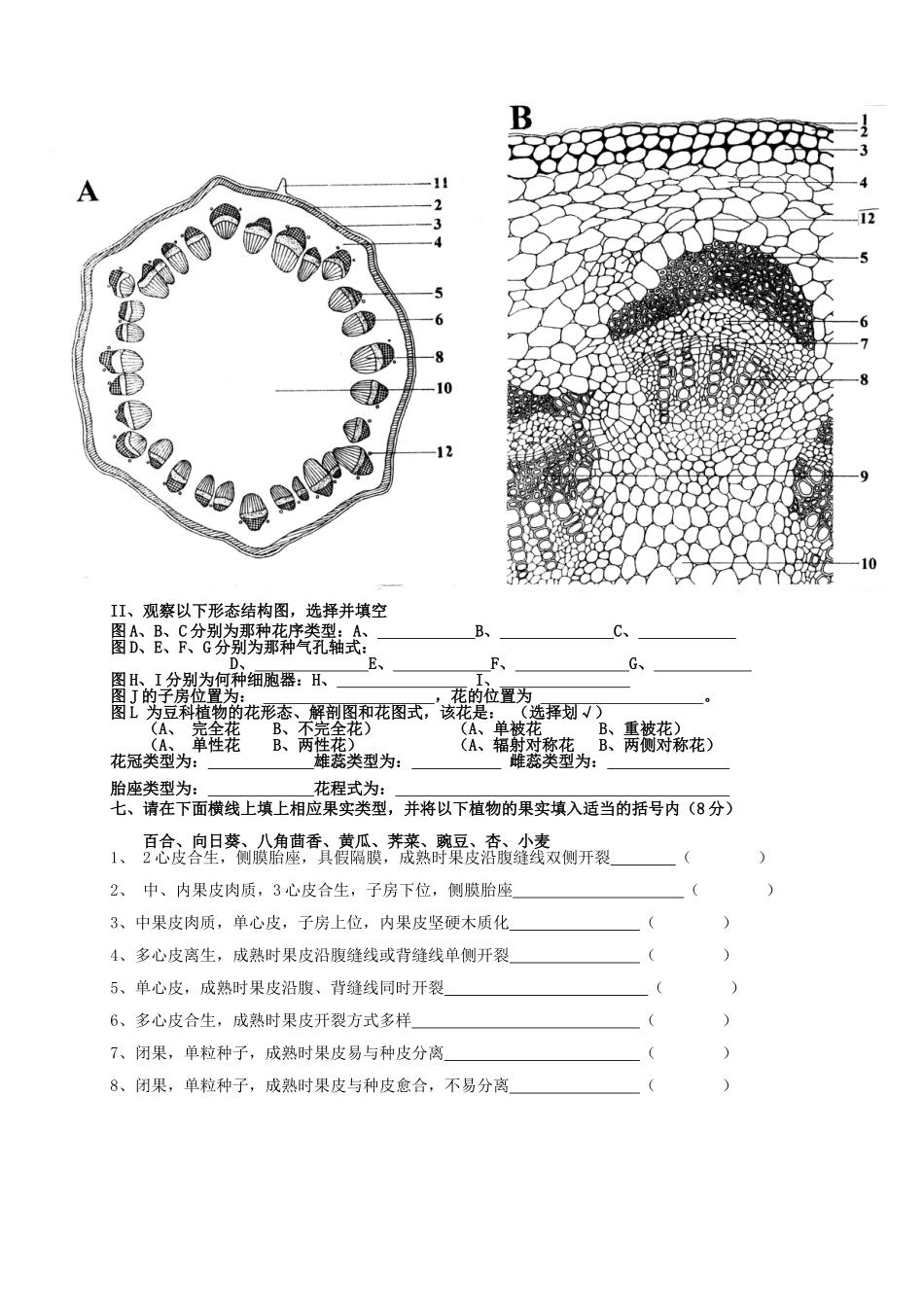 河南大学药植习题及答案_第3页