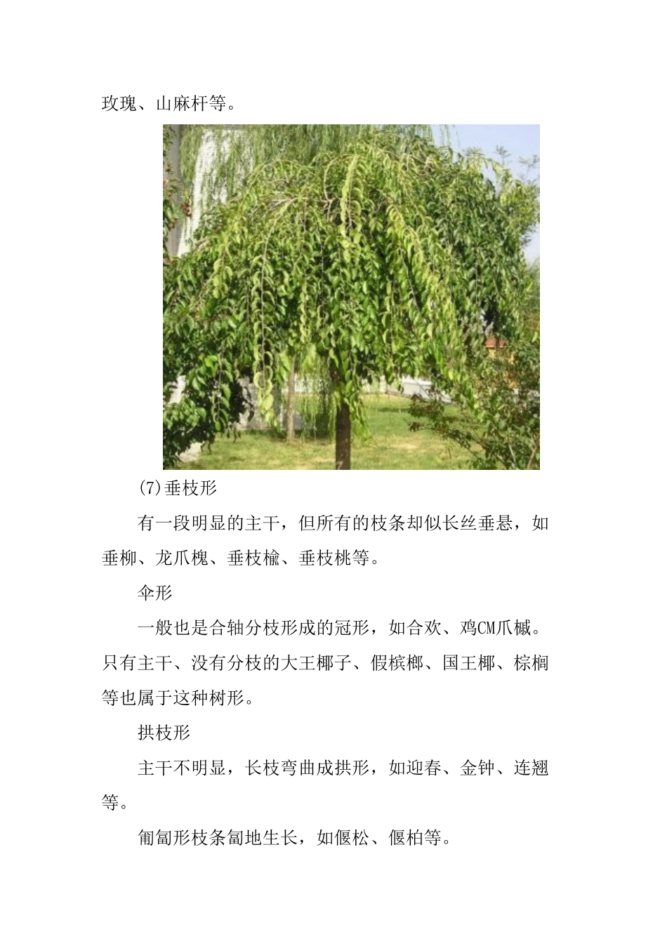 河北苗木整形方式_第3页