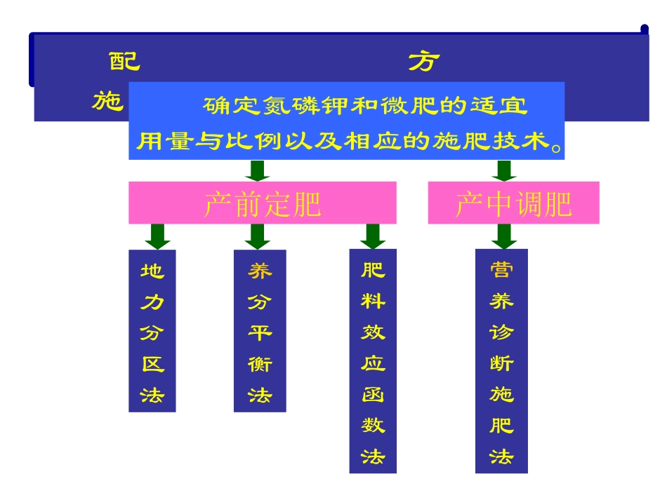 河南农业大学_第2页