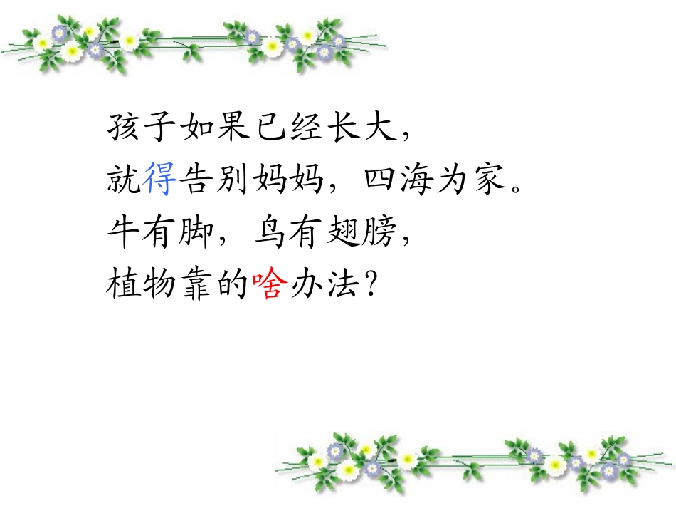 沪教版二下植物妈妈有办法.ppt_第1页