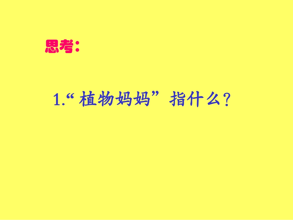 沪教版二下植物妈妈有办法.ppt_第2页