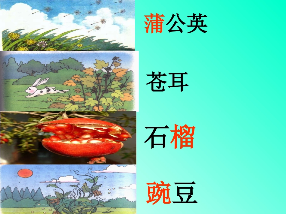 沪教版二下植物妈妈有办法.ppt_第3页