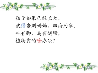 沪教版二下植物妈妈有办法.ppt