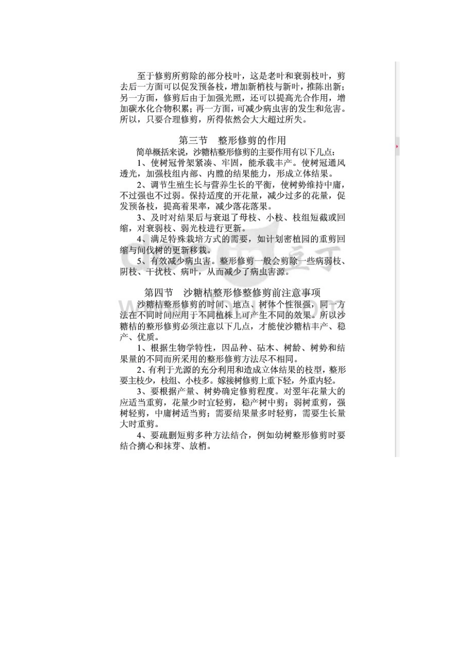 沙糖桔杏果树整形修剪图解_第2页