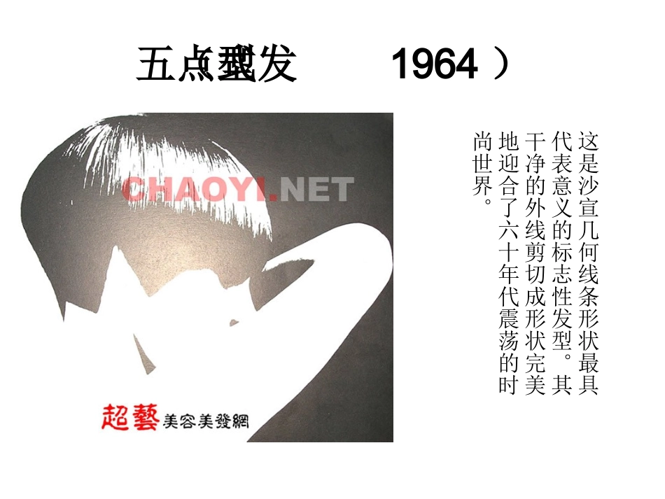 沙宣成名作 50年回顾_第3页