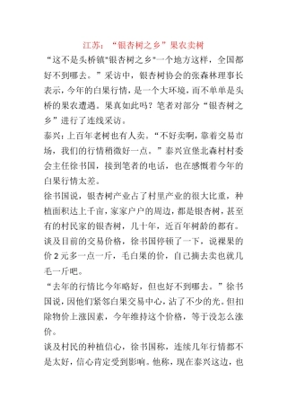 江苏：“银杏树之乡”果农卖树