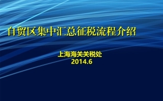 汇总征税(关税 许立元)
