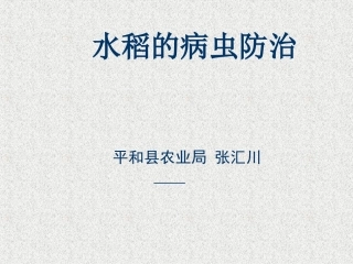 水稻的病虫防治