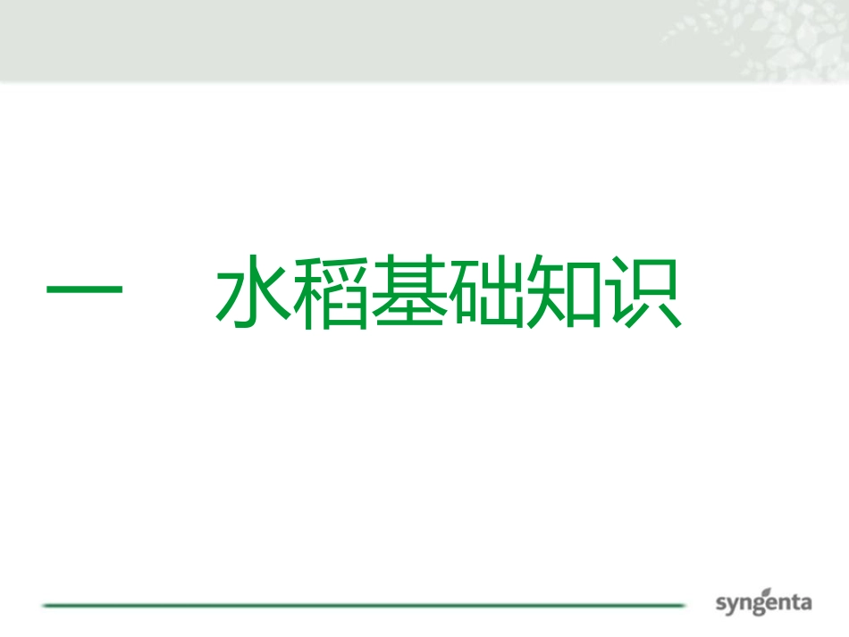 水稻病虫害解决方案_第2页