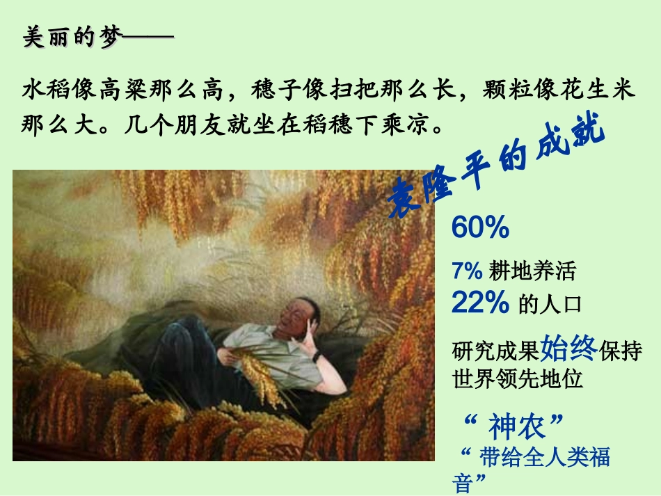 水稻像高粱那么高,穗子像扫把那么长,颗粒像花生米那么大_第2页