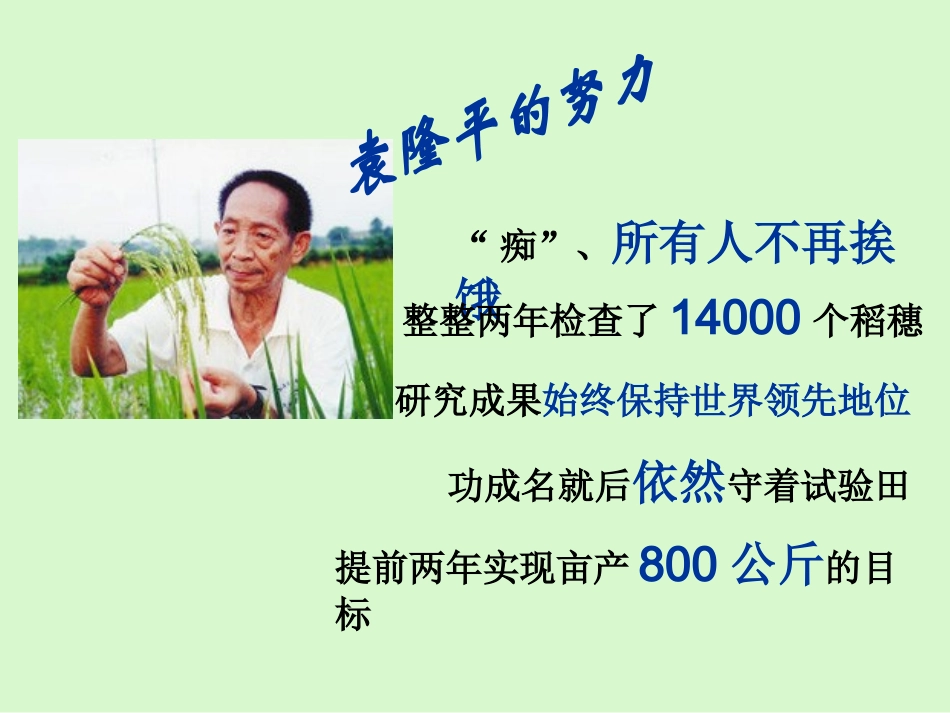 水稻像高粱那么高,穗子像扫把那么长,颗粒像花生米那么大_第3页
