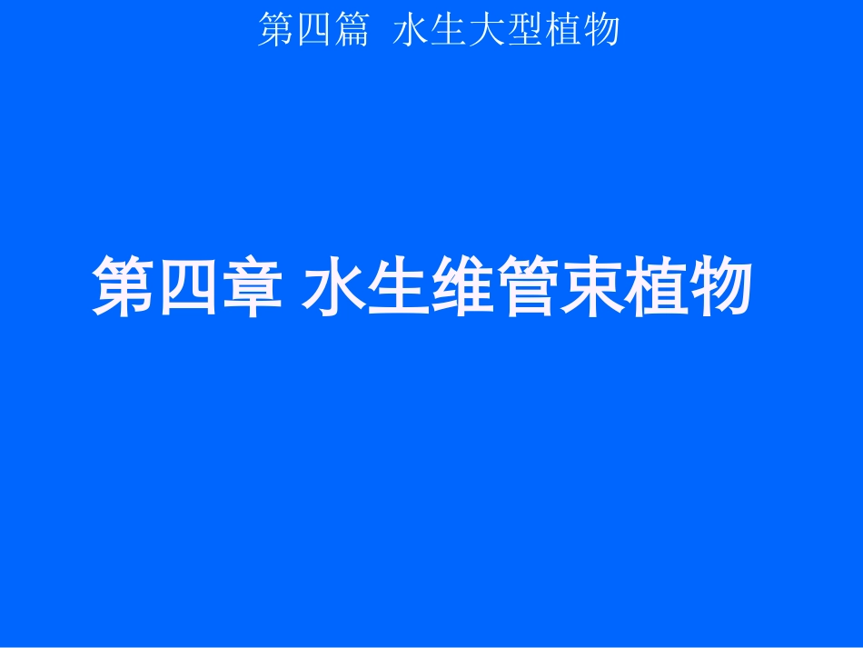 水生大型植物_4 水生维管束植物_第1页