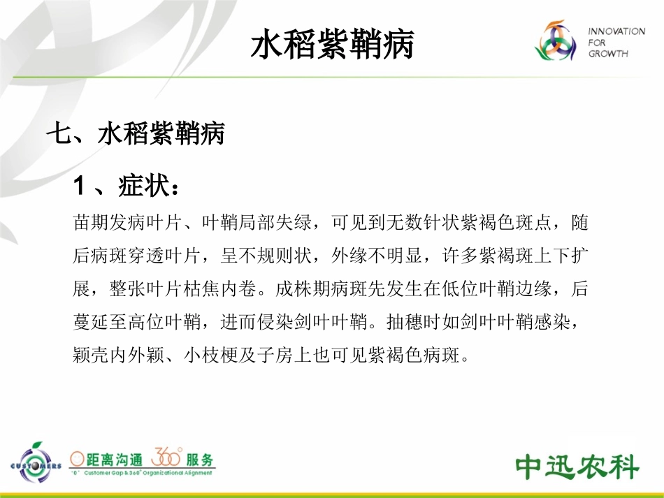 水稻常见病害种类、诊断及其防控措施二_第2页
