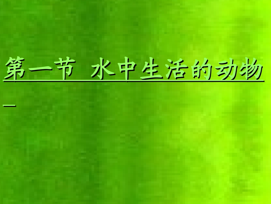 水中生活的动物_第1页