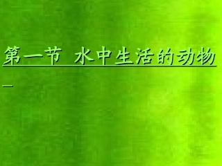 水中生活的动物