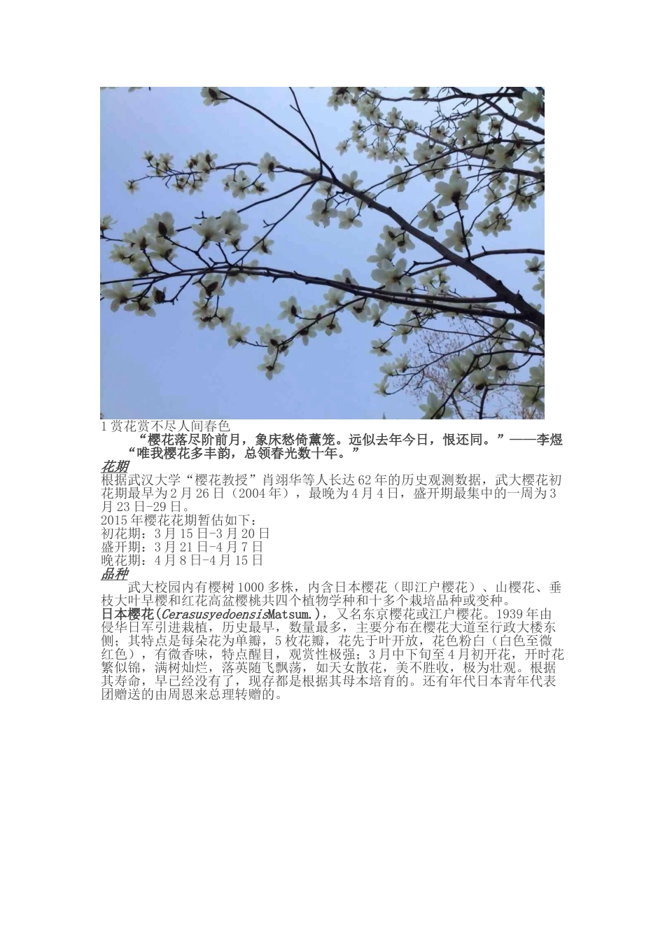 武汉大学2015年春樱花节赏花指南_第3页