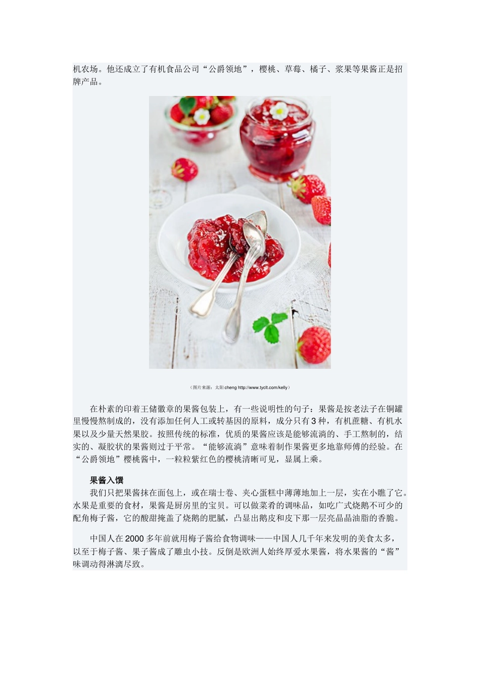 欧洲传统熬果酱的做法_第2页