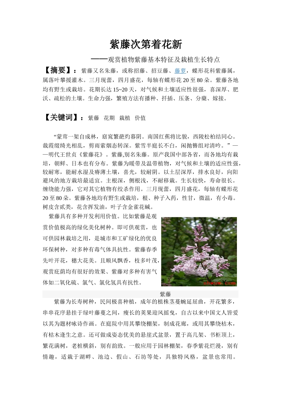 植物观赏论文_第1页