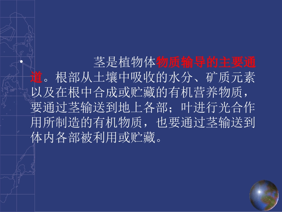 植物的营养器官-茎_第3页