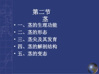 植物的营养器官-茎