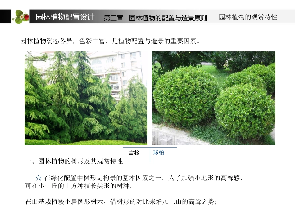 植物配置教程 — 02_第2页