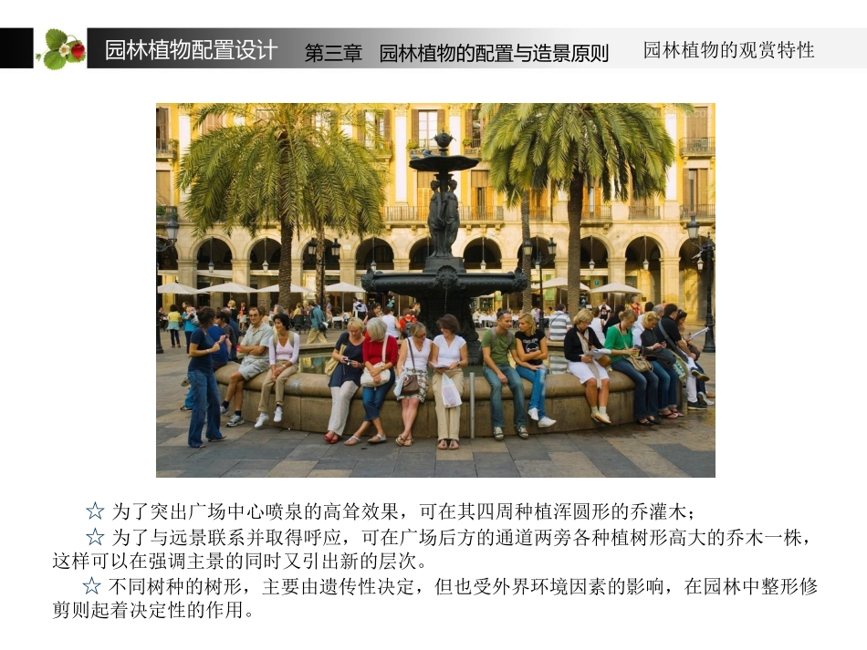 植物配置教程 — 02_第3页