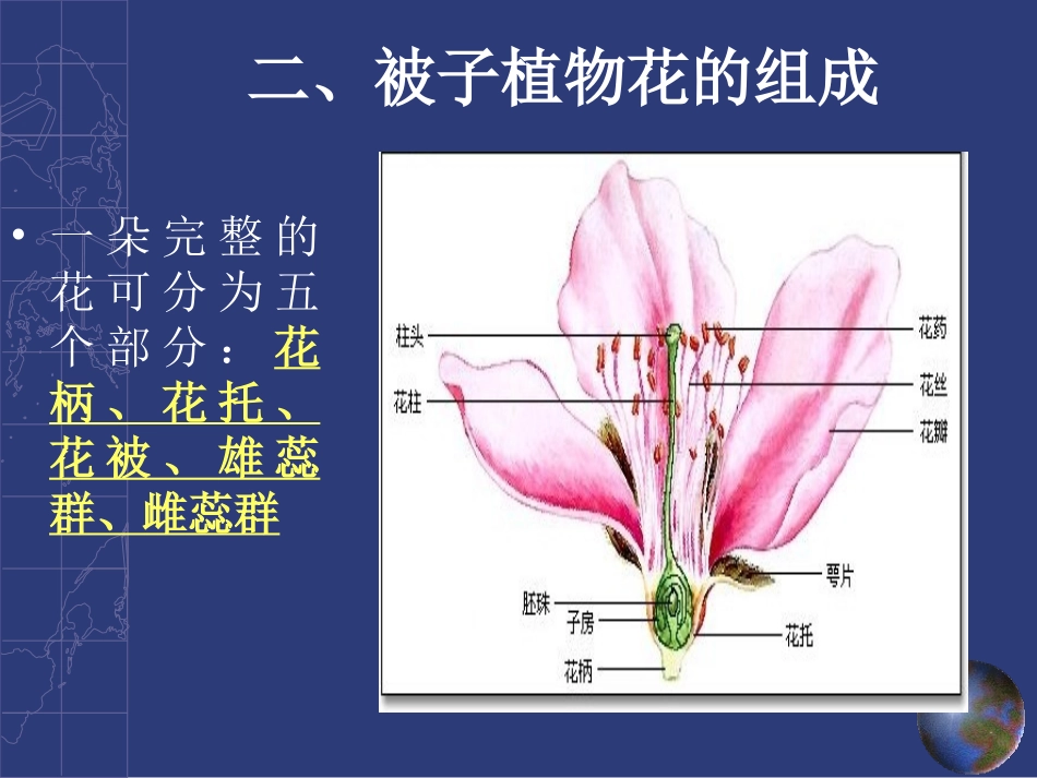植物的繁殖-2_第2页