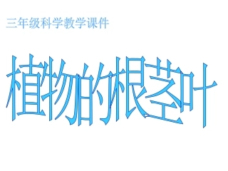 植物的根茎叶