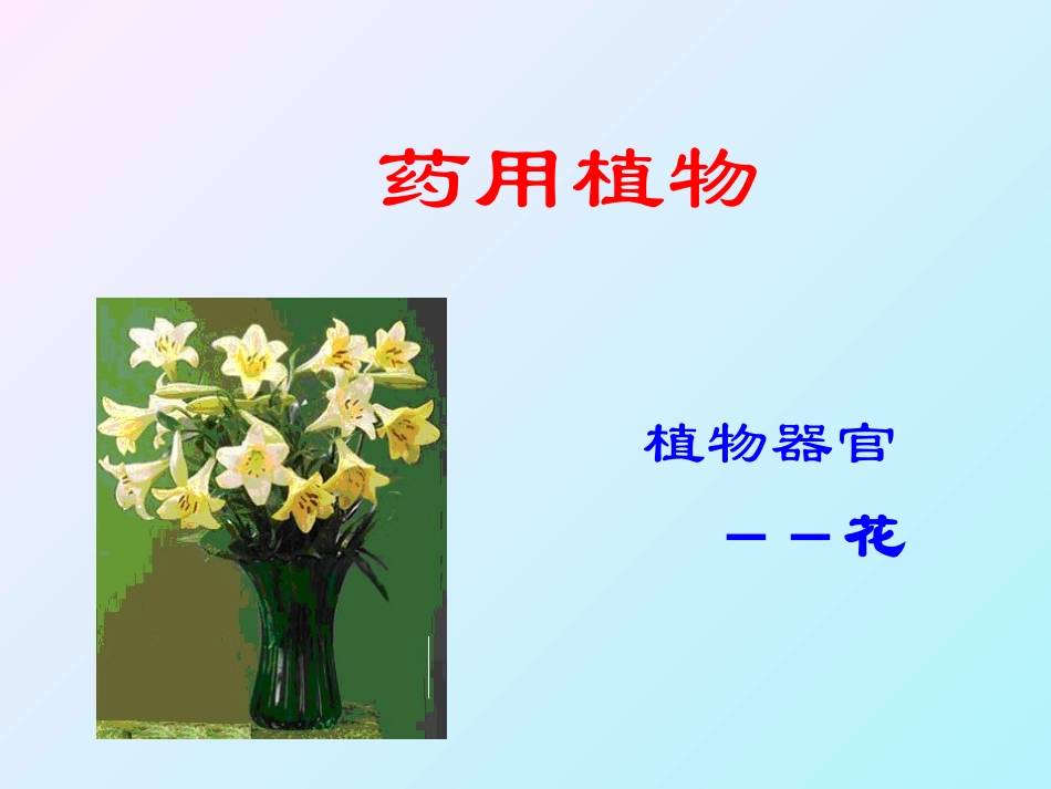 植物的花器官_第1页
