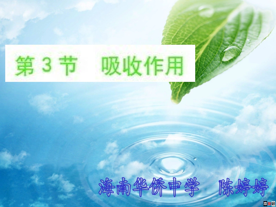 植物的吸收作用_第2页