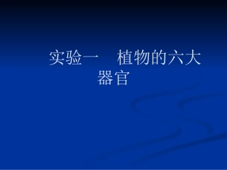 植物的六大器官