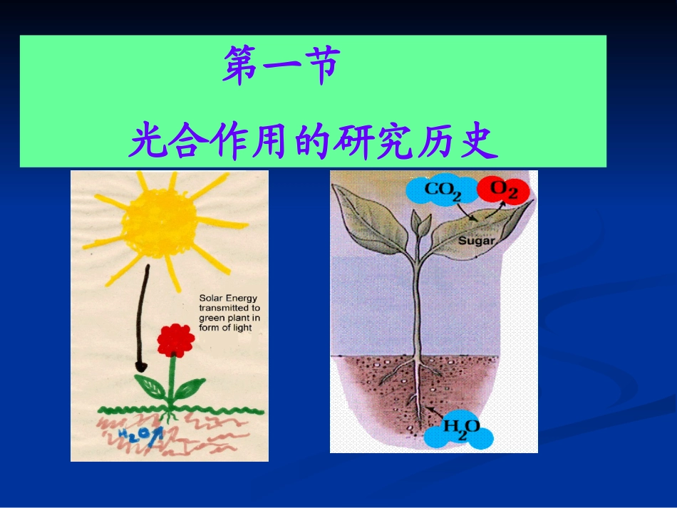 植物的光合作用_第3页