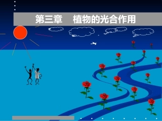 植物的光合作用