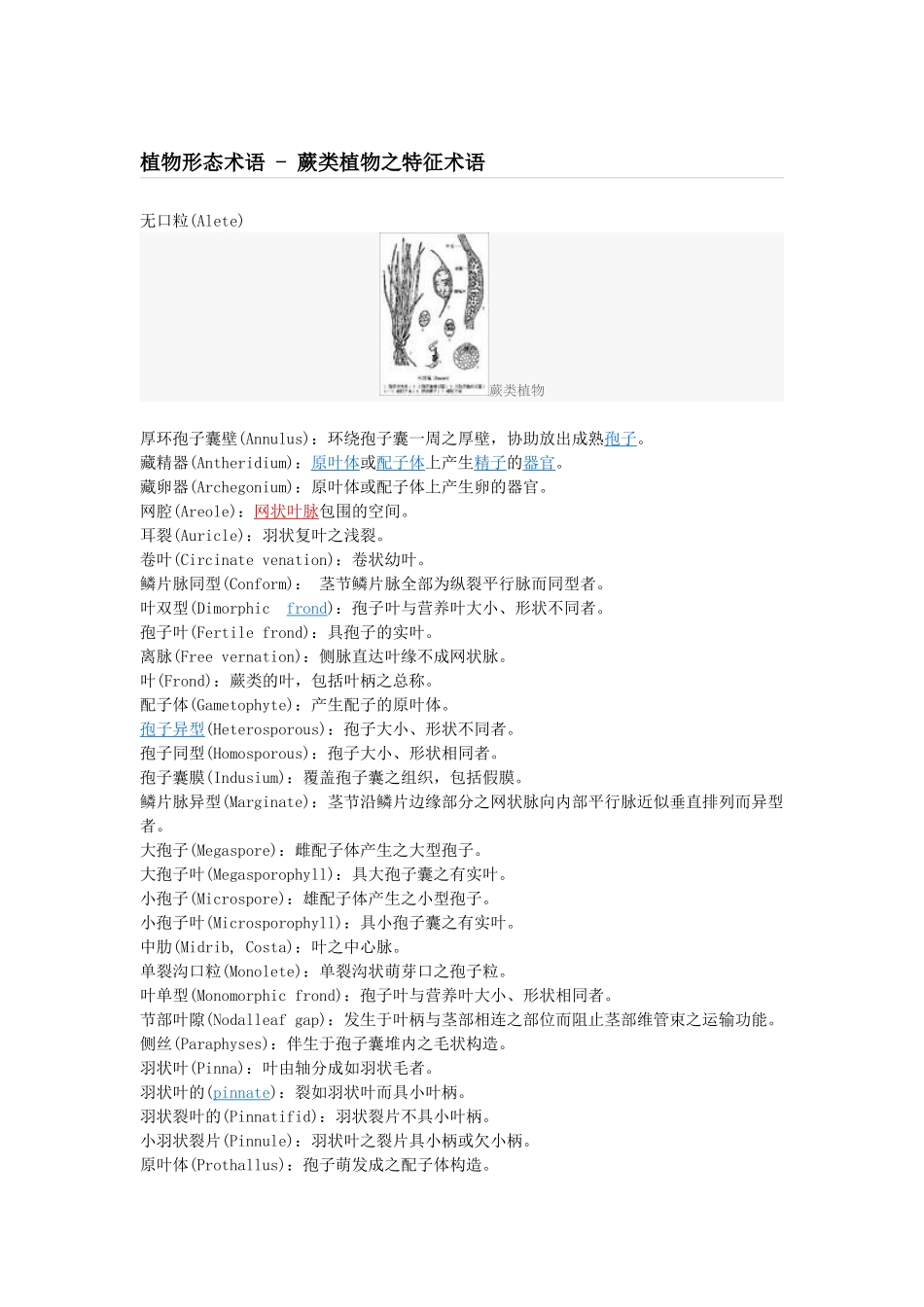 植物形态术语_第1页
