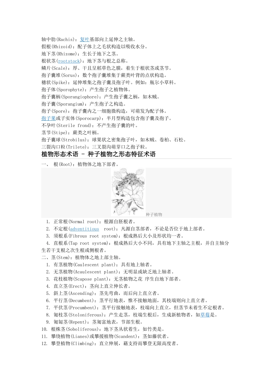 植物形态术语_第2页