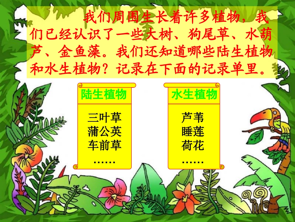 植物有哪些相同特点_第2页