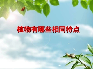 植物有哪些相同特点
