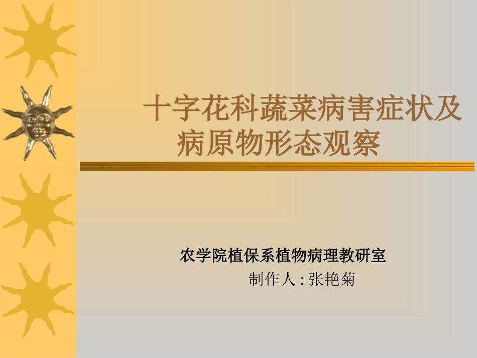 植物病理学-十字花科_第1页
