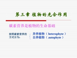 植物生理第三章