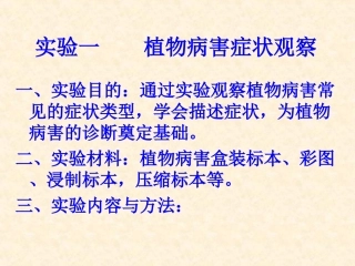 植物病害的症状观察