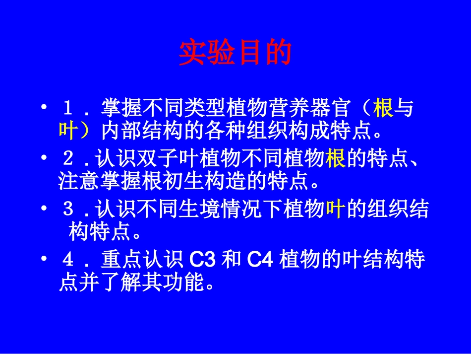 植物学实验4--植物根及叶的形态结构观查_第2页