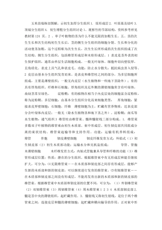 植物学 植物形态解剖学 第三章 种子植物的营养器官 茎(138页)国家精品课程多媒体课件