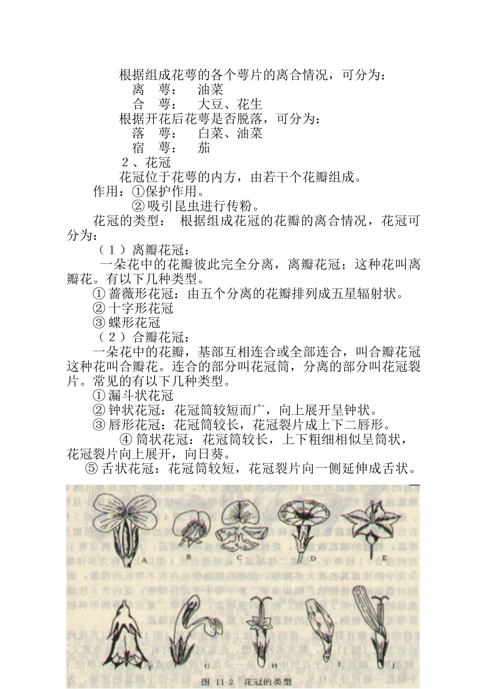 植物学03电子书下载-样章doc_第2页